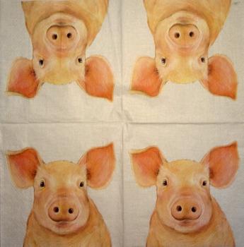 080 Pigs - 3-ply - Nouveau